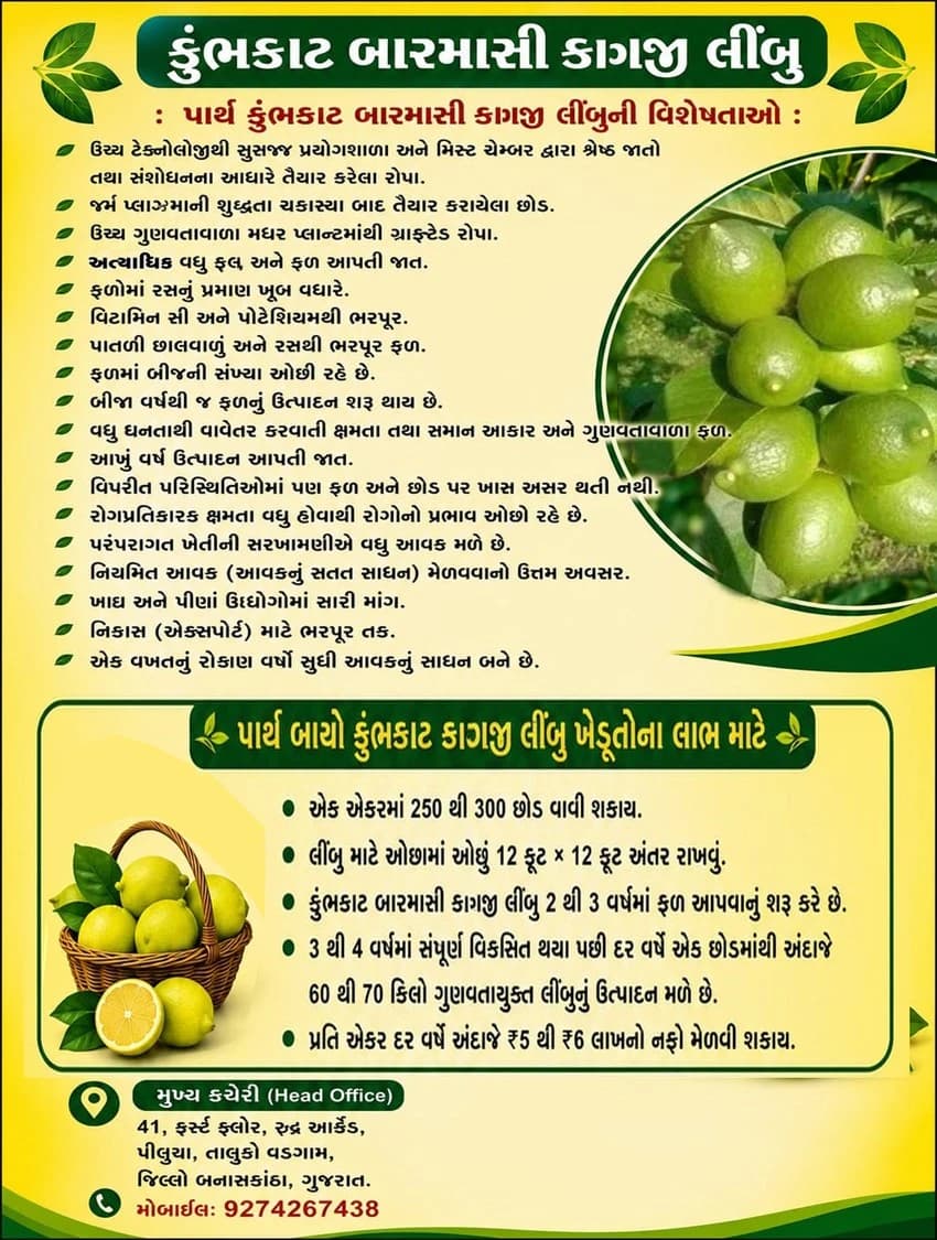 Kumbhkat Barmasi Kagji Lemon — features and per-acre returns