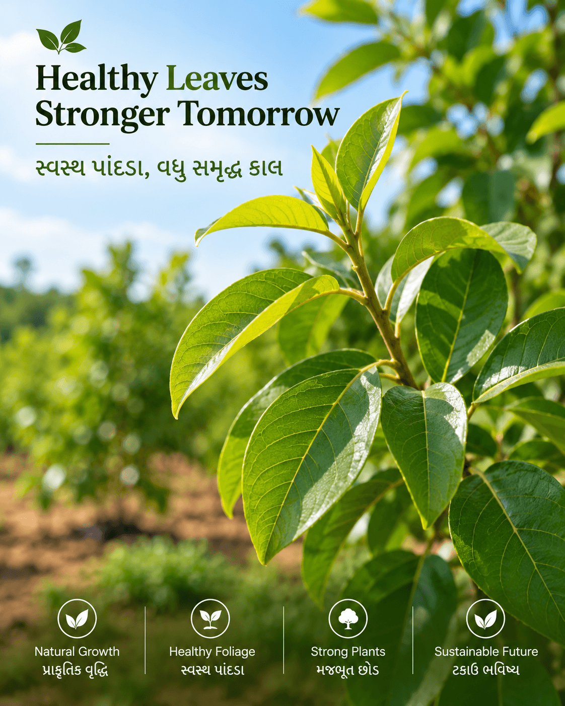 Healthy Leaves, Stronger Tomorrow